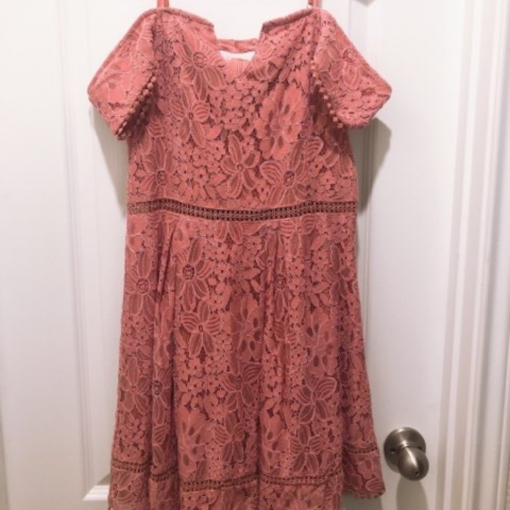 Francesca's Pink Lace Off the Shoulder Dress